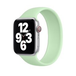 Remienok Elastripe Wristband mätový pre Apple Watch